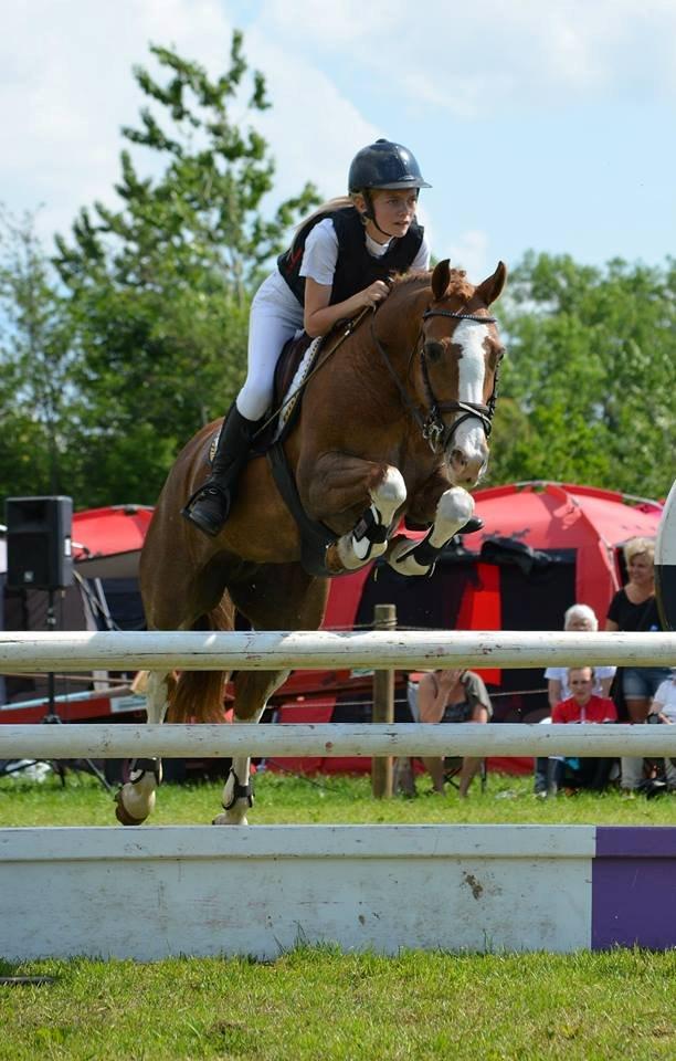 Anden særlig race Misty - MB** billede 2