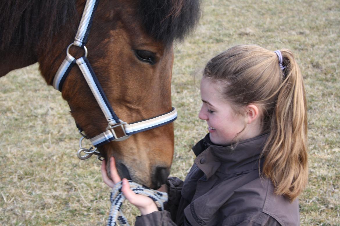 Anden særlig race Björk  - Roser er røde, DK er stort - men uden dig er DK noget lort. billede 12