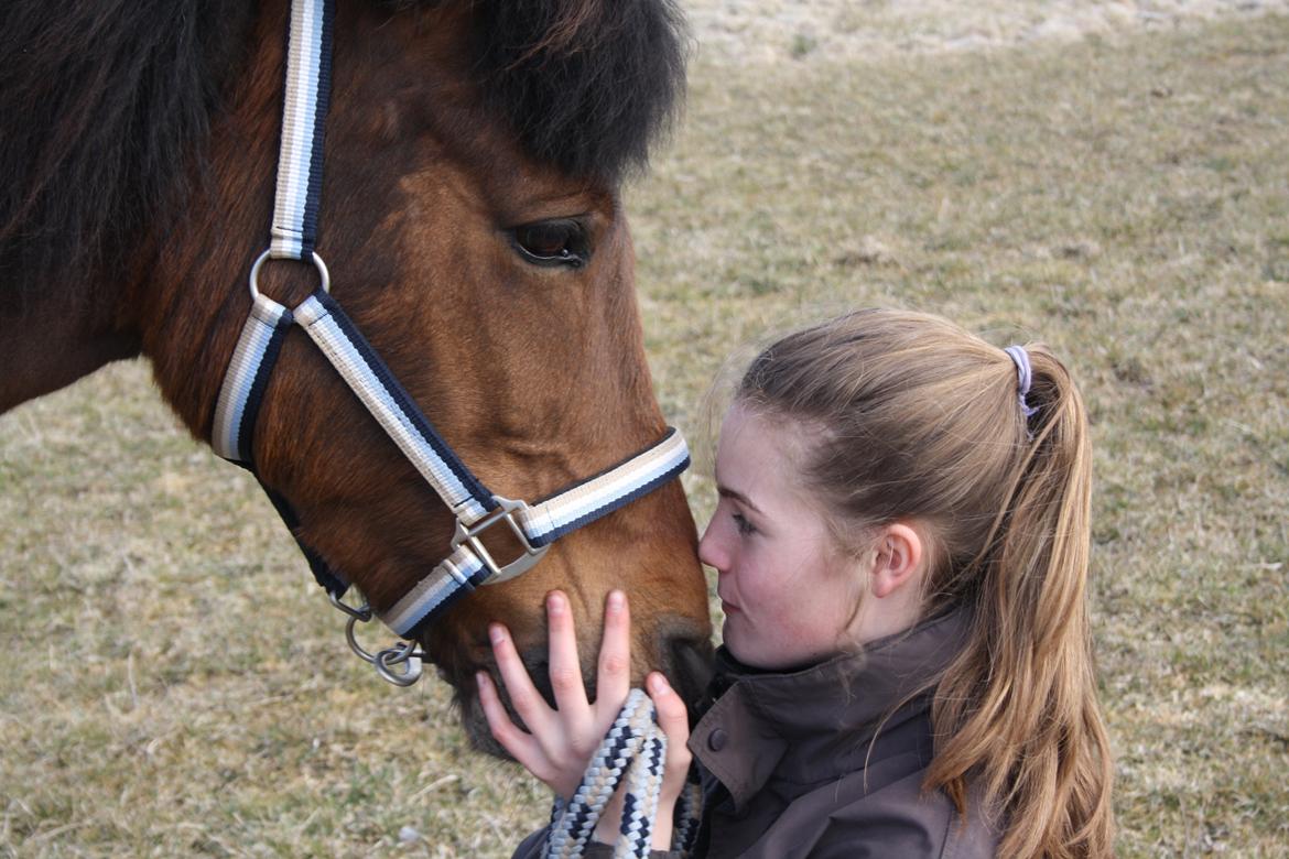 Anden særlig race Björk  - Det gør ondt at blive forbrændt, men jeg vil gå igennem ild for dig, det gør ondt at blive skåret, men jeg vil skære mig selv til blods, bare for at skrive "jeg elsker dig" Det gør ondt at få tæsk, men jeg vil tage imod alle slag for at hjælpe dig, for in billede 13