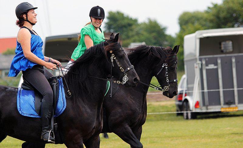 Frieser Almira von Inger-Marienlund - Almira og hendes helsøster, Wictoria til MidtWest Farmshow i Skive d. 15/6-2013, Billedet er taget af Katja Møller Jensen, Skive billede 3