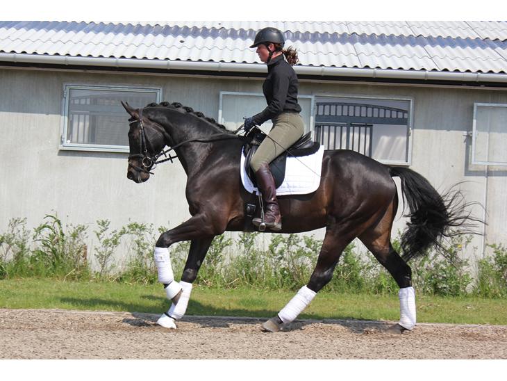 {{currentPhoto.altText}} billede {{currentPhoto.number}}