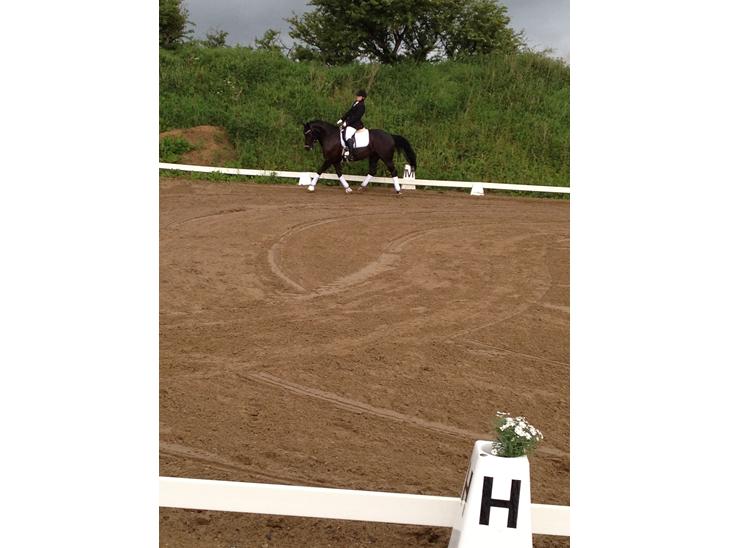 {{currentPhoto.altText}} billede {{currentPhoto.number}}