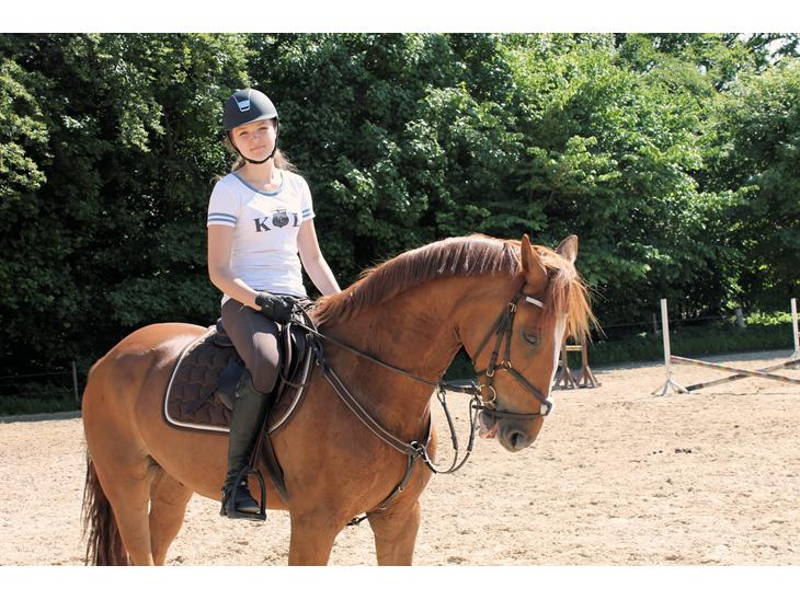 {{currentPhoto.altText}} billede {{currentPhoto.number}}