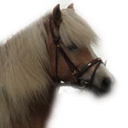 Haflinger Nyegaards Nicoll