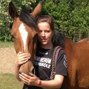 Dansk Varmblod Storåens WeltFlicka