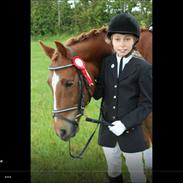 Anden særlig race Victor <3