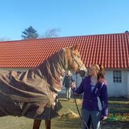 Frederiksborg Stald Caka's Sanina