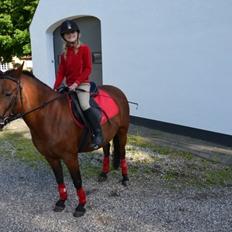 Anden særlig race Itschy