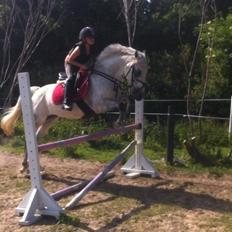 DSP nordenhøjs freja