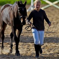 Anden særlig race Apollon (Red)