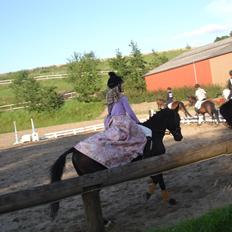 Anden særlig race Apollon (Red)