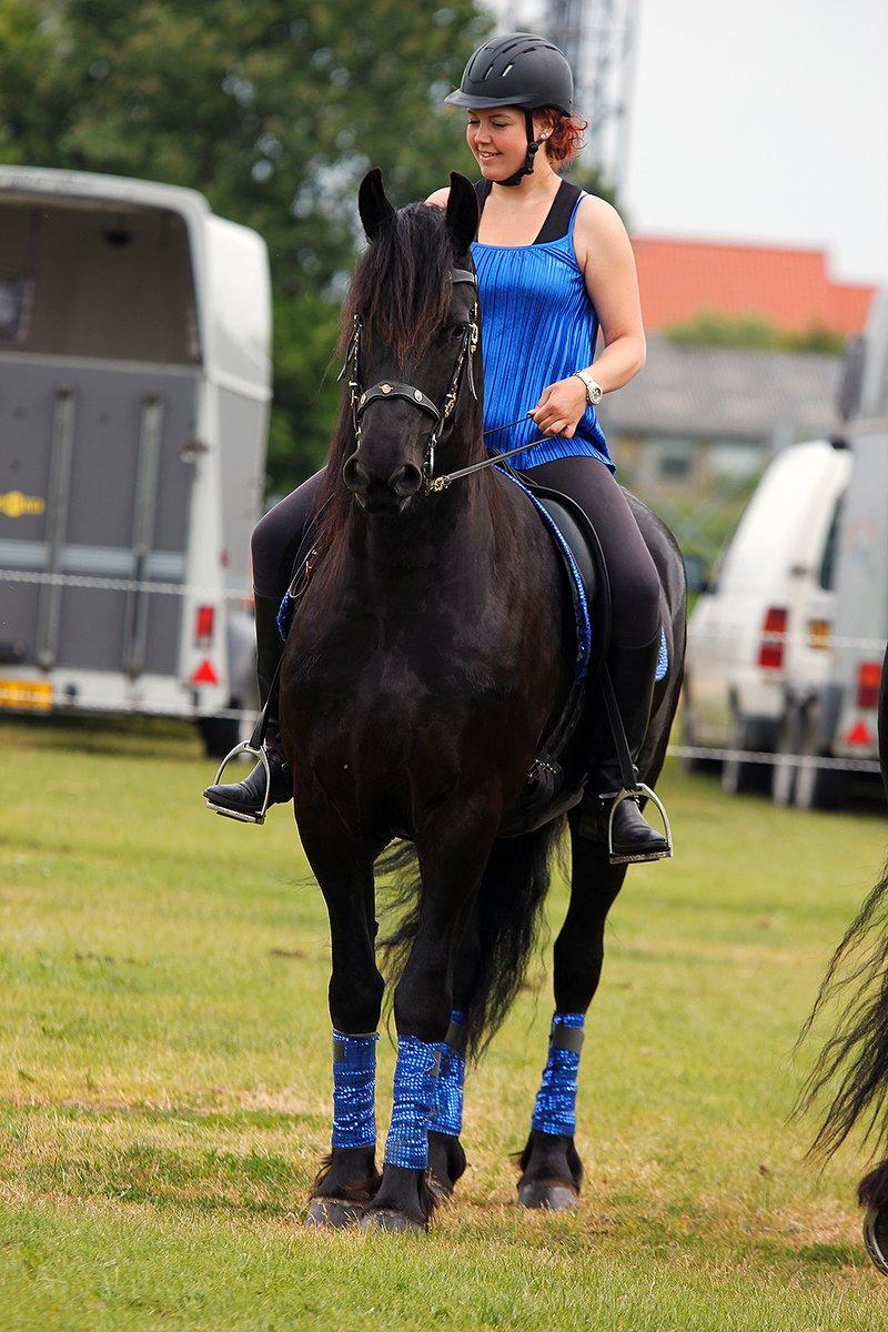 Frieser Almira von Inger-Marienlund - Almira til MidtWest Farmshow i Skive d. 15/6-2013.. Billedet er taget af Katja Møller Jensen, Skive billede 4