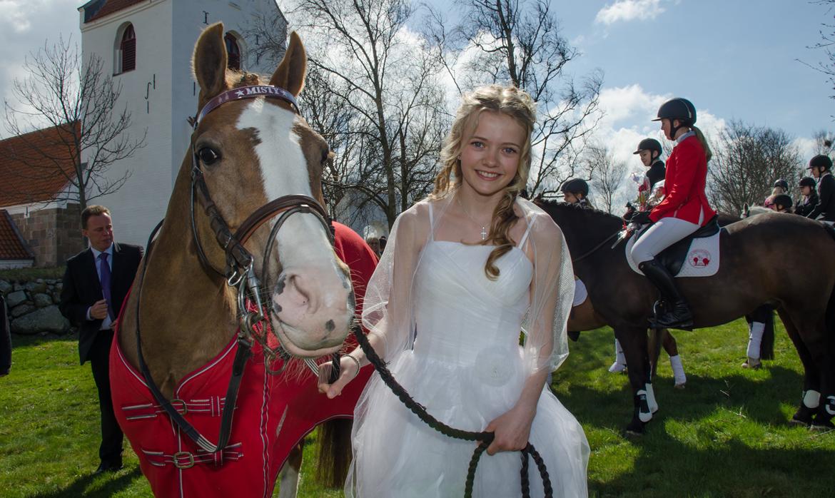 Anden særlig race Misty - Til min konfirmation d. 27/4-13 (Misty var en overraskelse uden for kirken) billede 9