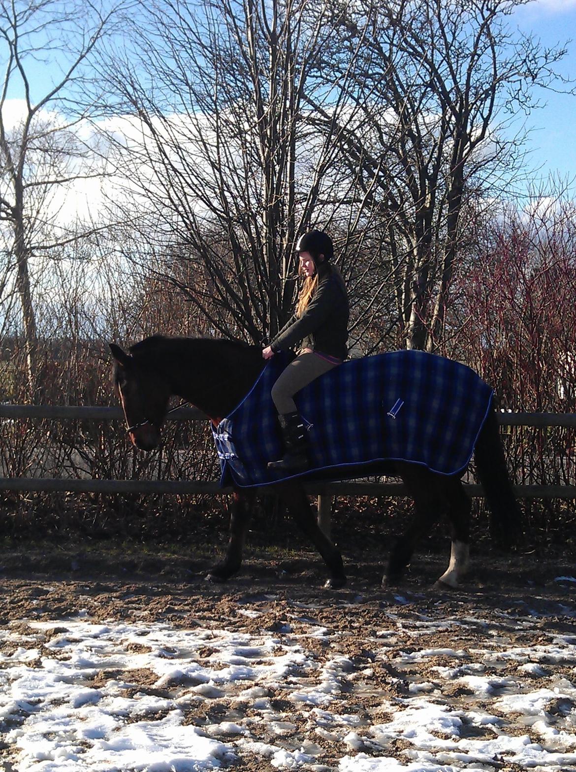 Pinto Pegasus | Soulmate | - 7. Et lidt ældre billede, her rider jeg ham dér hvor han stod før :-) Et af de første billeder jeg har af os :-)  billede 7
