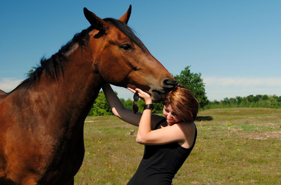Anden særlig race Damtofts Valdemar - Hyggehest, han elsker at nuldre hår :) billede 11