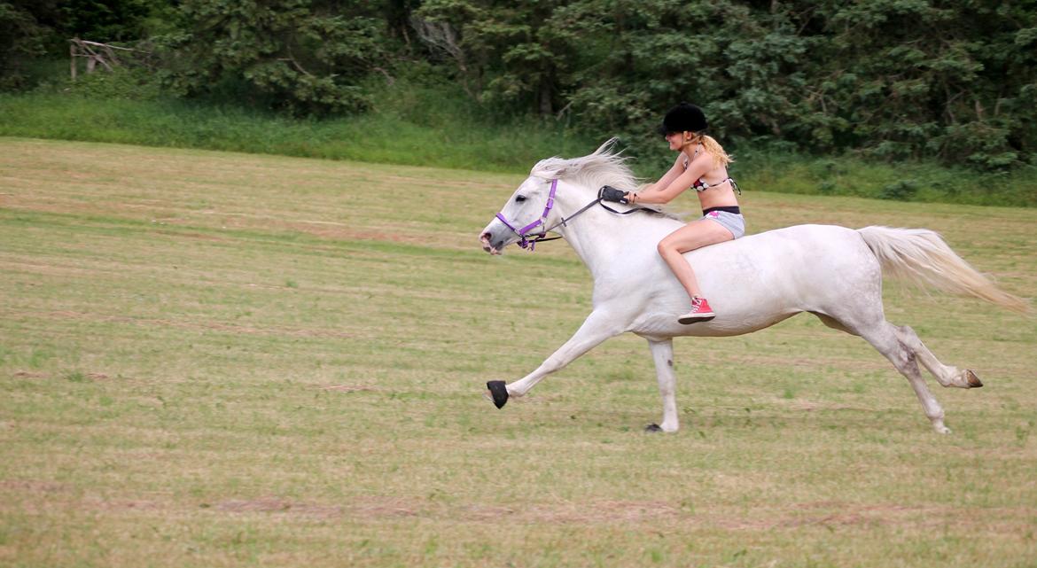 Anden særlig race Cindy - Veldkommen til Cindys profil :-) her jorder vi med grime&tøjler, fordi vi kan ;) hæhæhæhæhæh billede 3