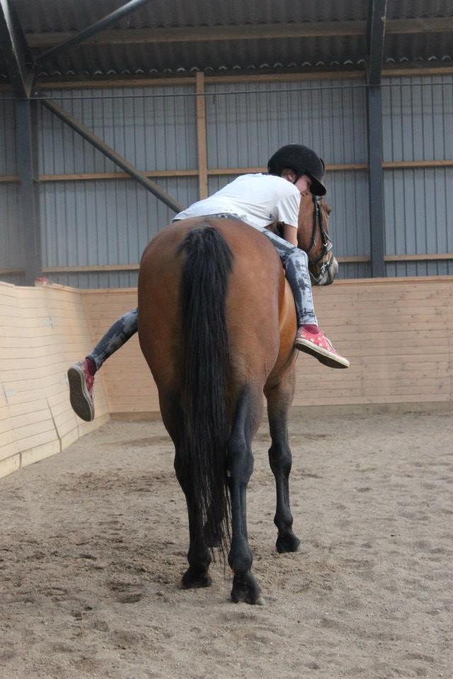 Anden særlig race Lacoste - Og igen :O billede 15