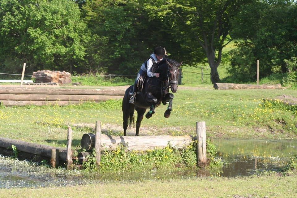 Welsh Cob (sec D) Bjerregård Zeus - Du er for sej minskat!<3
Vi to kan alt sammen!<3 billede 17