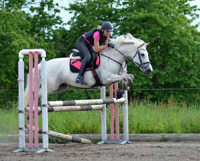 Anden særlig race Miss Dulle *Stjernepony* - Springhesten ville ikke springe i dag :( billede 14