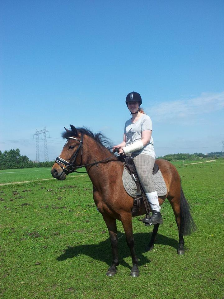 Anden særlig race Daisy - På dette billede var hun ikke blevet redet i over en uge. Hun var frisk, men styrbar, selv med et brækket håndled :) billede 5
