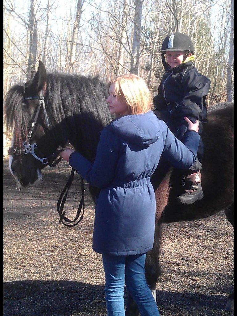 Irish Cob Grymyrs Riona av Totentinkers. - Leger børnepony for min fætter på 5 år:) - Passede ikke damen. billede 9