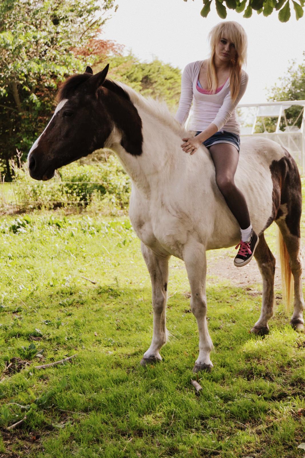 Pinto Kezia billede 4