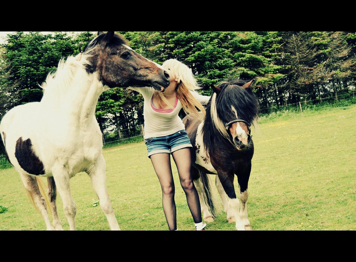 Pinto Kezia billede 5