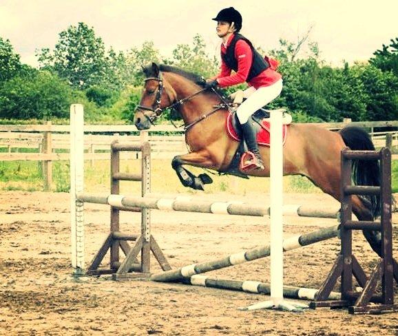 Anden særlig race PRINS KASHMIR  - d. 16/6-2013 stævne på VEK LA**  billede 8