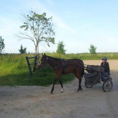 Traver Amazing Ann - min første køretur med prinsessen <3 billede 18