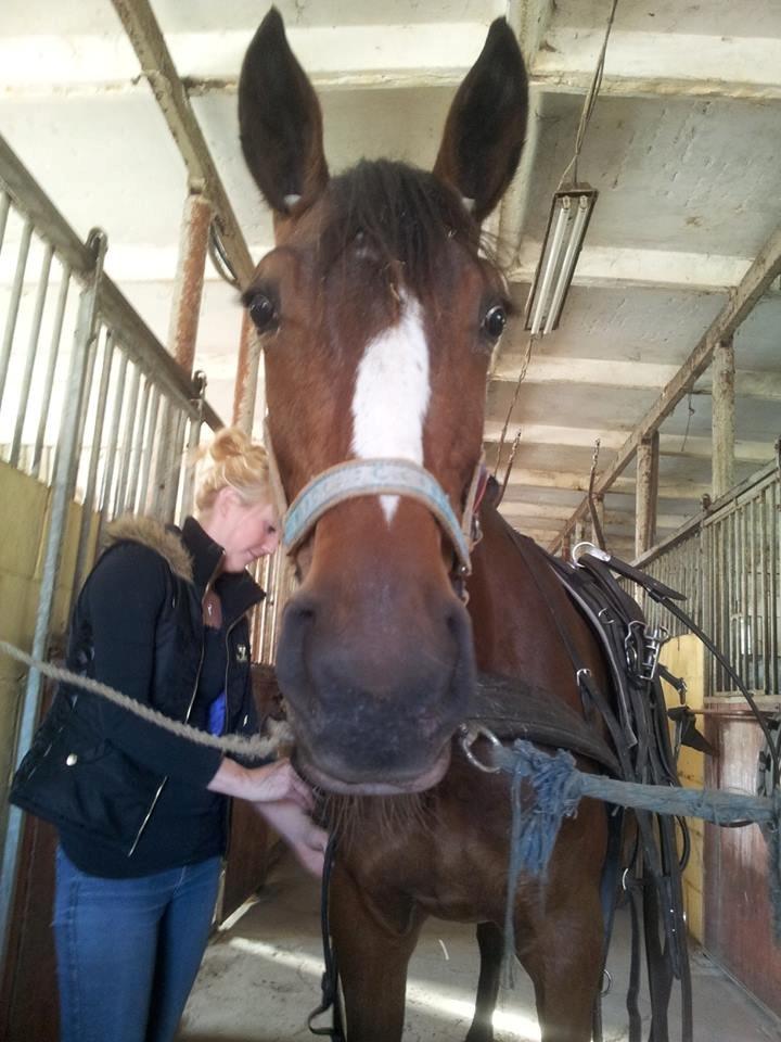 Traver Amazing Ann billede 19