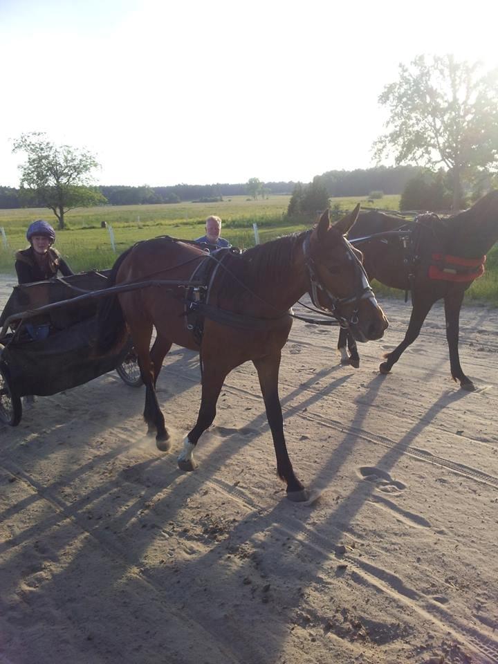 Traver Amazing Ann - min første køretur med prinsessen <3 billede 20