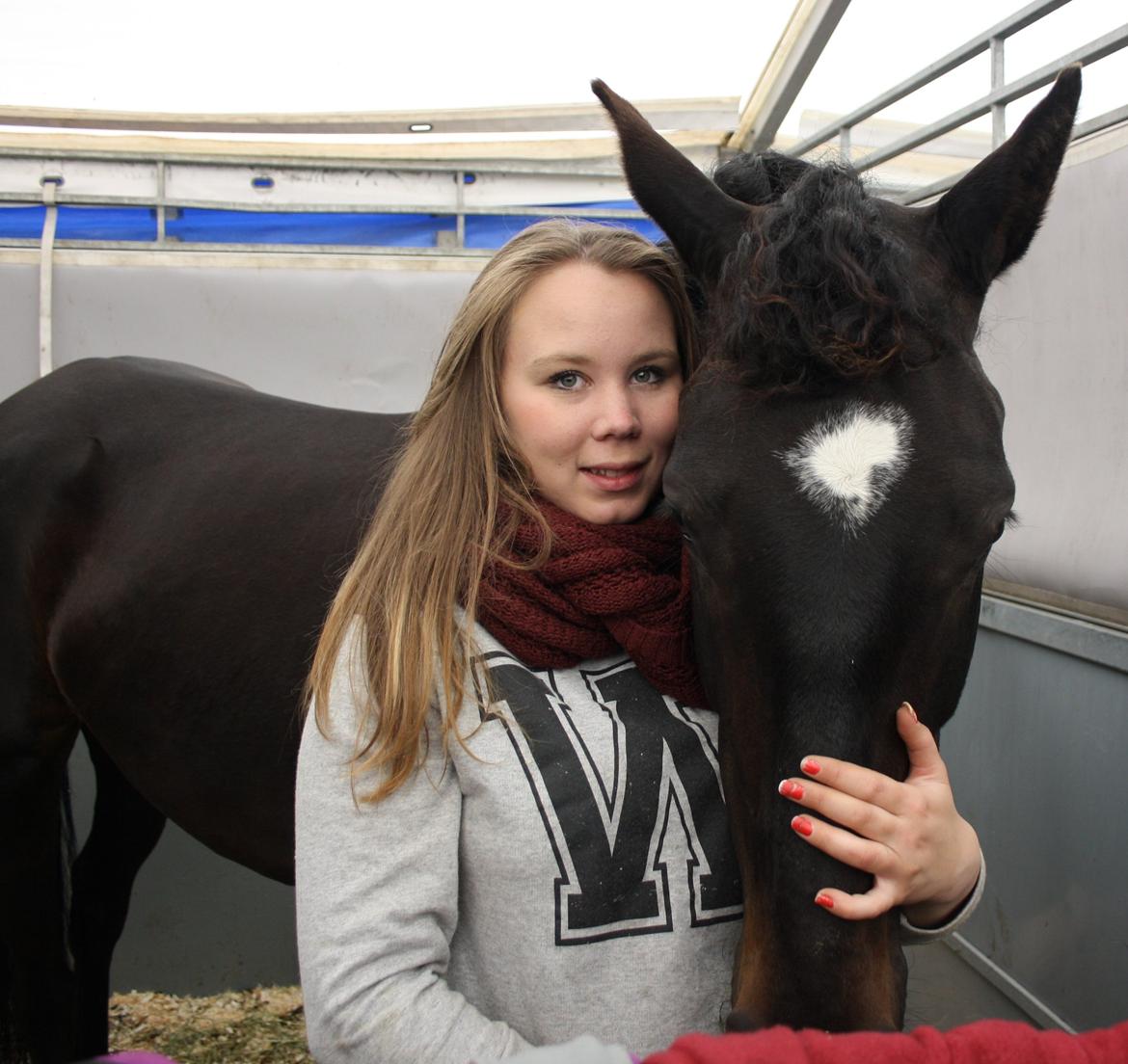 Dansk Varmblod HM Zakili billede 24