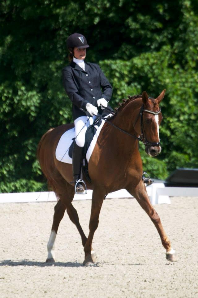 Trakehner Catwalk billede 5