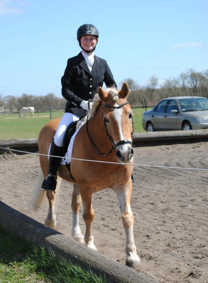 Tyroler Haflinger Story - Træt basse efter et vellykket program! billede 18
