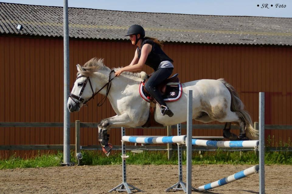 Anden særlig race » Jossy (Justin) - Springtræning :-)
Foto; Sandra Reich <3 billede 3