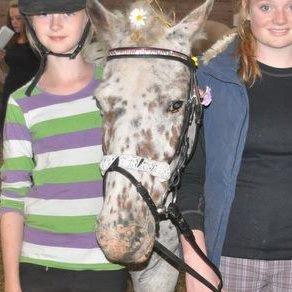 Knabstrupper Bonnie billede 19