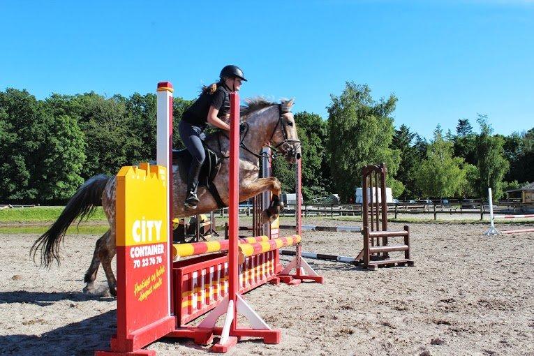 Anden særlig race Little Kahlua billede 9