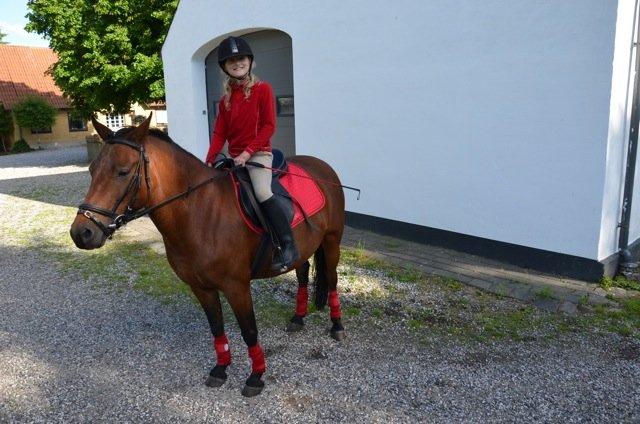 Anden særlig race Itschy billede 1