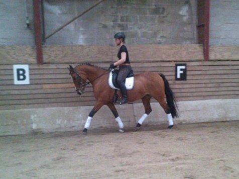 DSP Malou billede 18