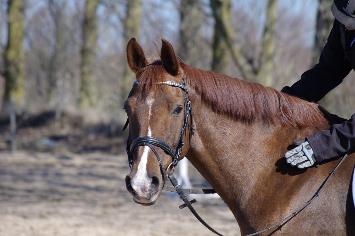 Anden særlig race Kosmo - Velkommen til Kosmo's profil! :-D billede 1