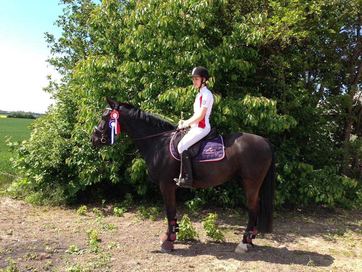 Oldenborg Sigersholmgårds Firano - 5 juni 2013 - 1. og 2. plads i 60 cm og 70 cm <3 stolt af bassen
Foto: Mor billede 5