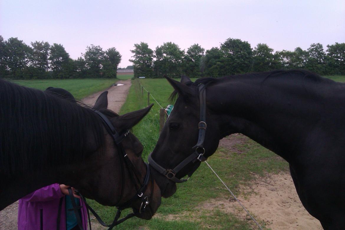 Oldenborg Connie - Madonna og Connie billede 7