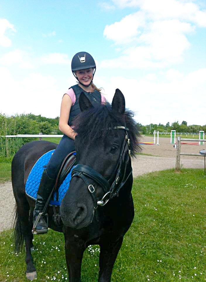 Hollandsk Sportspony Black Boy - velkommen til verdens smukkeste vallak! her første dag hvor han var min! billede 1