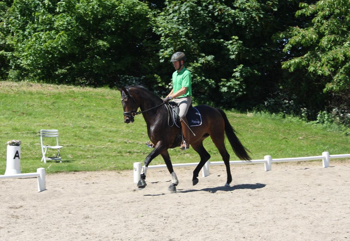 Dansk Varmblod Mi Diór - Mi Dior og Jan. billede 15