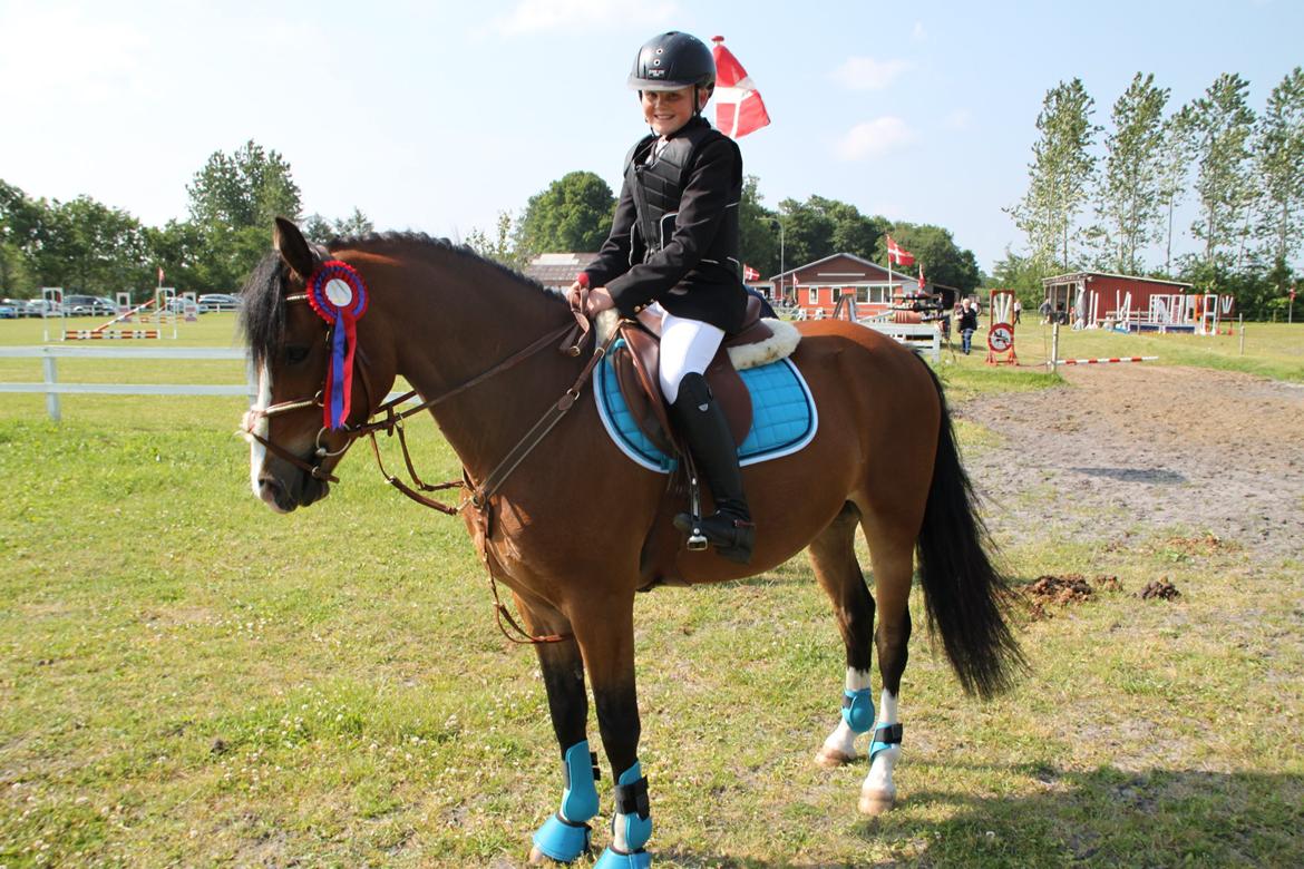 Welsh Pony (sec B) Bakkegaarden´s perfect prince - Min elskede dreng, efter og har redet 0 i Le :)  billede 2
