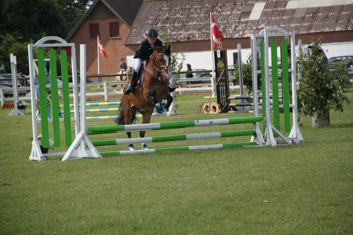 Welsh Pony (sec B) Bakkegaarden´s perfect prince - Første stævne sammen <3 :) Min flyvene bamse <3 :) billede 10