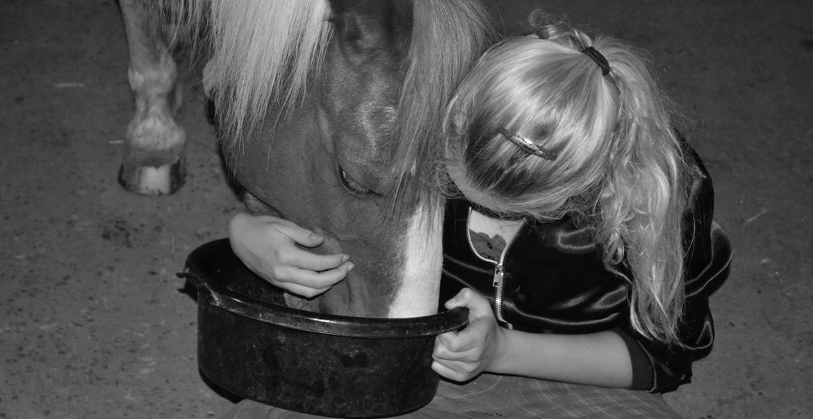 Pinto Blade - Min bedste ven <3 billede 18