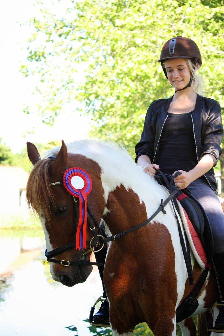 Pinto Blade - Første springstævne på bassen - Fejlfri runde <3 billede 17