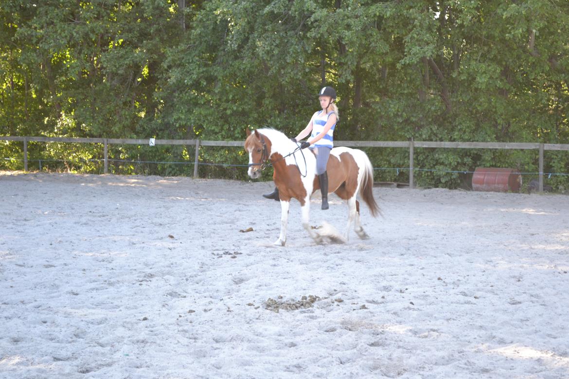 Pinto Blade - Elskede <3  billede 19