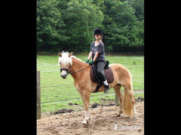 Tyroler Haflinger Fannie af Stenbek - Velkommen til Fannie's profil. :-) <3

Mesterfotograf: Ellen Hansen d.20 juni 2013 billede 1